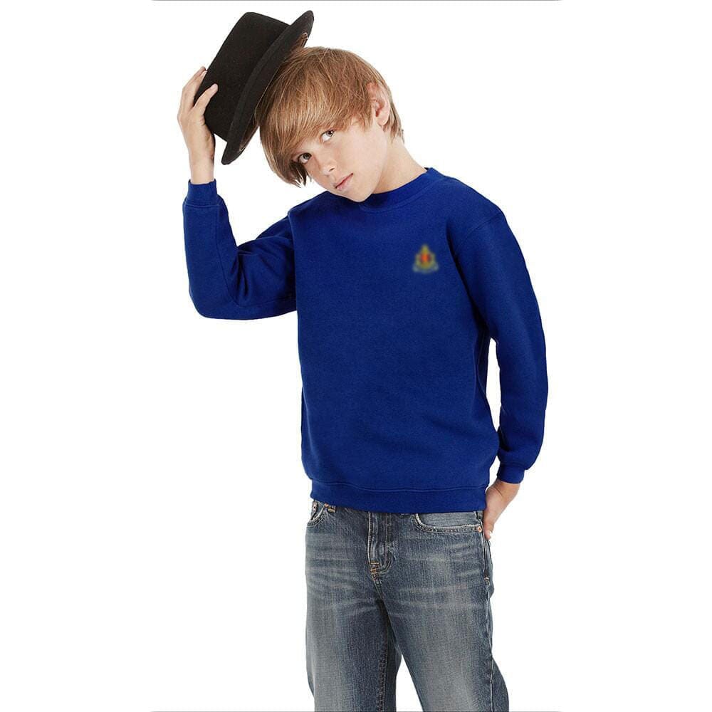 Boy's BB Alproso Minor Fault Sweat Shirt Minor Fault Image Garments (Pvt.) Ltd. Royal 10-11 Years 