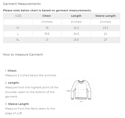 Fashion Men's Raglan Sleeve Stripes Style Round Neck Sweater Men's Sweat Shirt Xclusive Fashion 