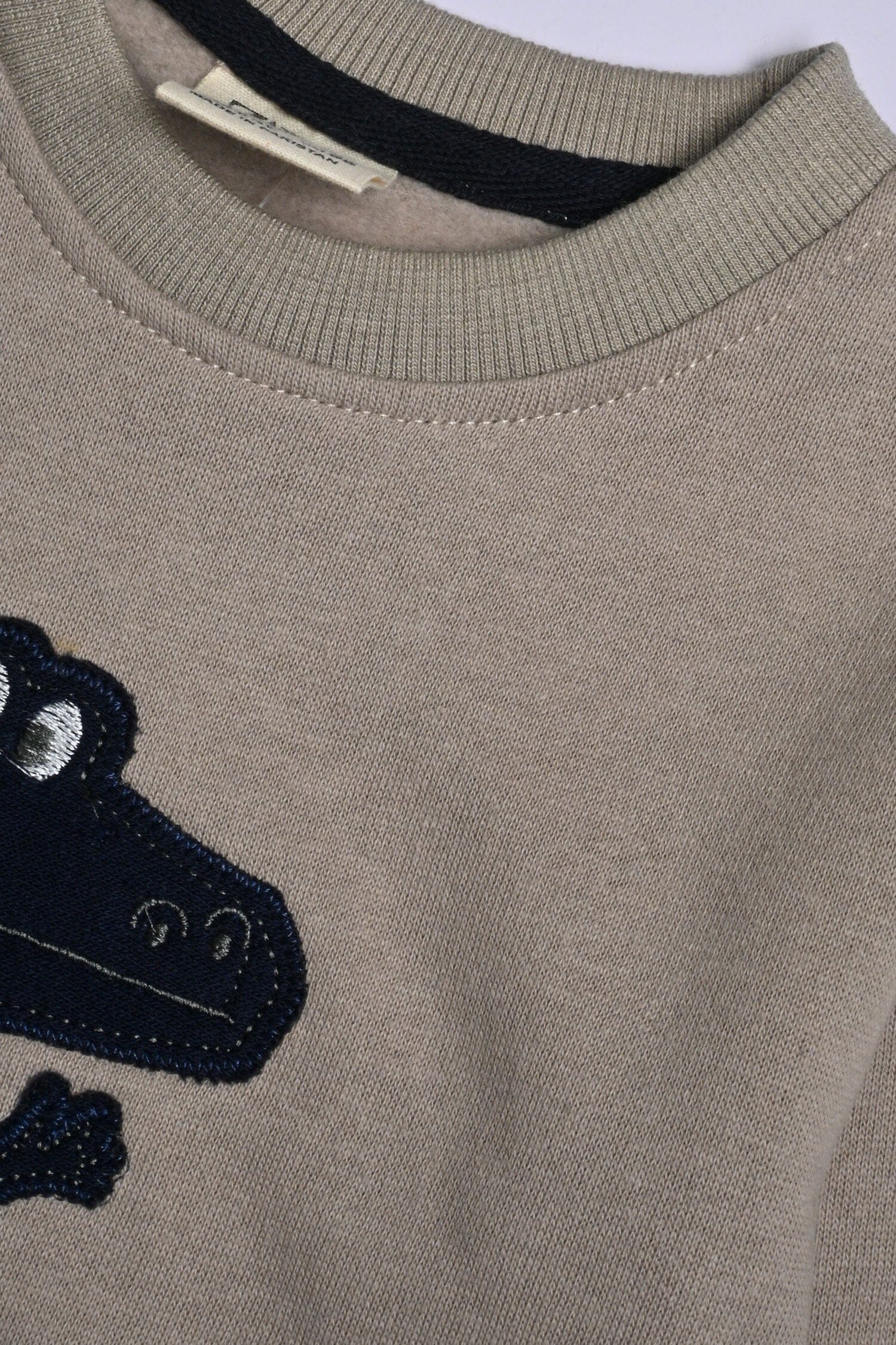 Kid's Applique Crocodile Fleece Sweat Shirt