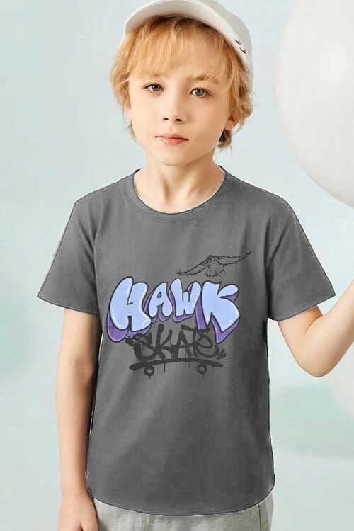 TH Boy's Hawk Skate Printed Short Sleeve Tee Shirt Boy's Tee Shirt TAHIR SIDDIQUI ( SALE BASIS ) Graphite 4 Years 