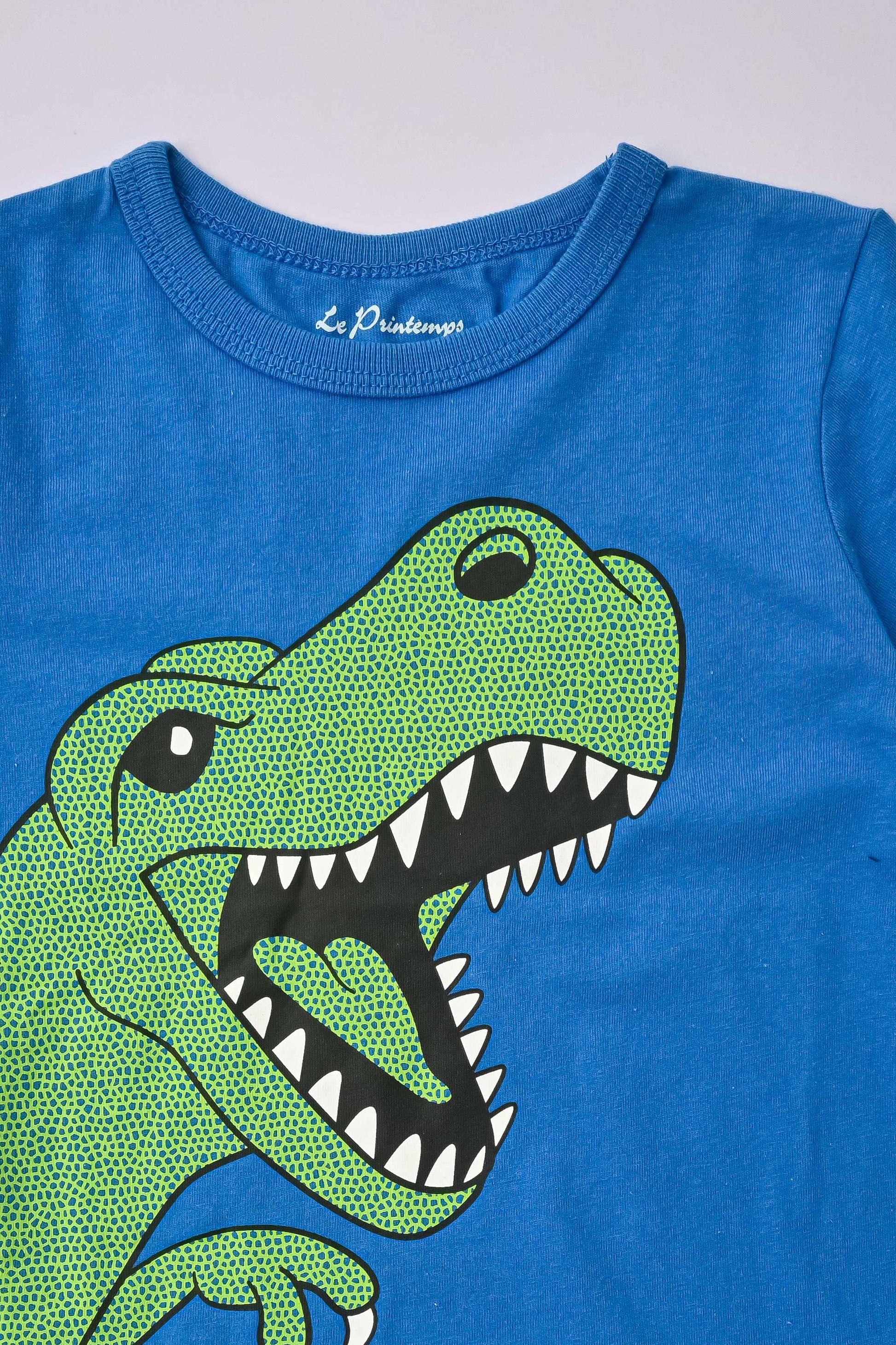 Le Printemps Kid's Dinosaur Printed Tee Shirt Kid's Tee Shirt Athar Traders 