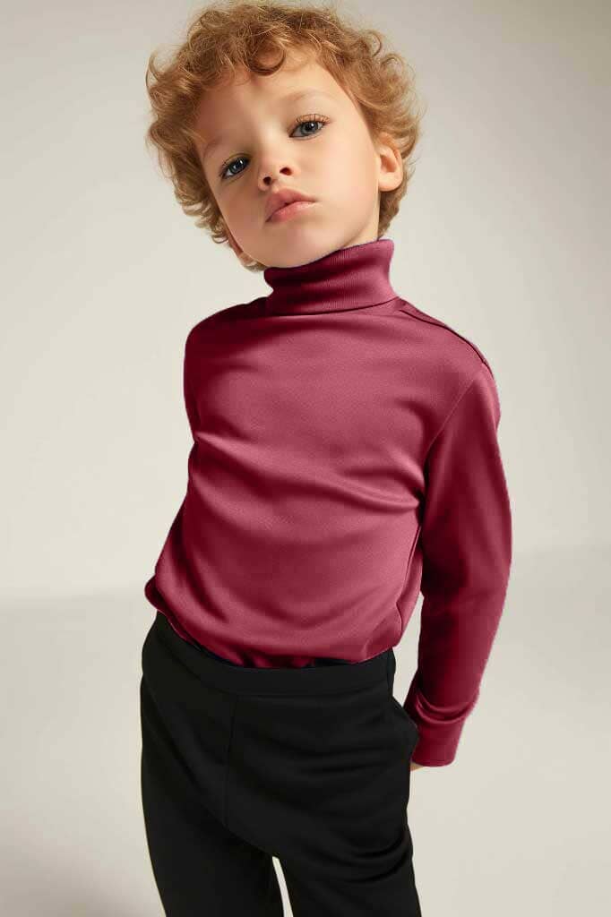 Polo Republica Kid's High Neck Sweat Shirt Kid's Sweat Shirt Polo Republica Light Burgundy 2-3 Years 