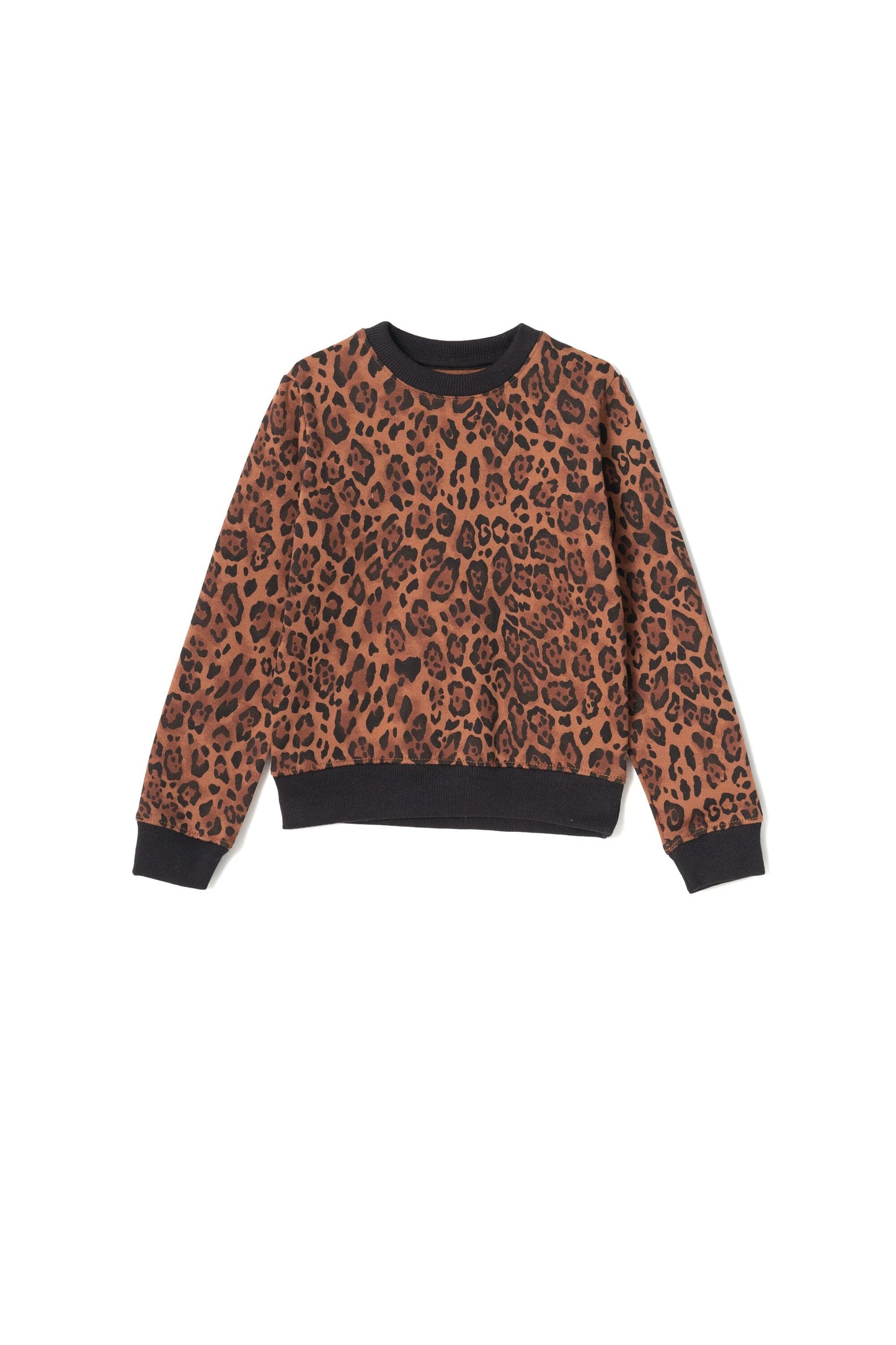 Orchestra Boy's Leopard Printed Long Sleeve Fleece Sweatshirt Boy's Sweat Shirt SZK PAKISTAN (Sale Basis) Brown 2-3 Years 