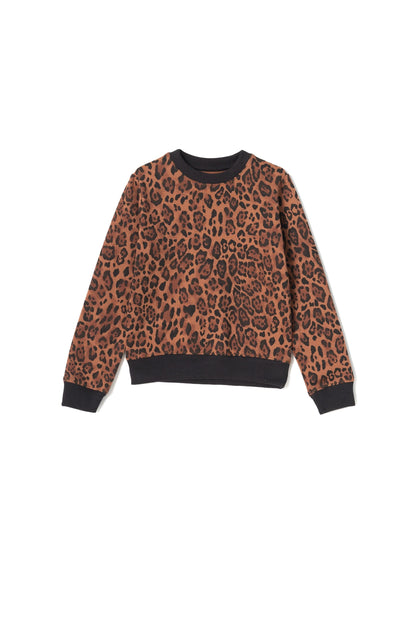 Orchestra Boy's Leopard Printed Long Sleeve Fleece Sweatshirt Boy's Sweat Shirt SZK PAKISTAN (Sale Basis) Brown 2-3 Years 