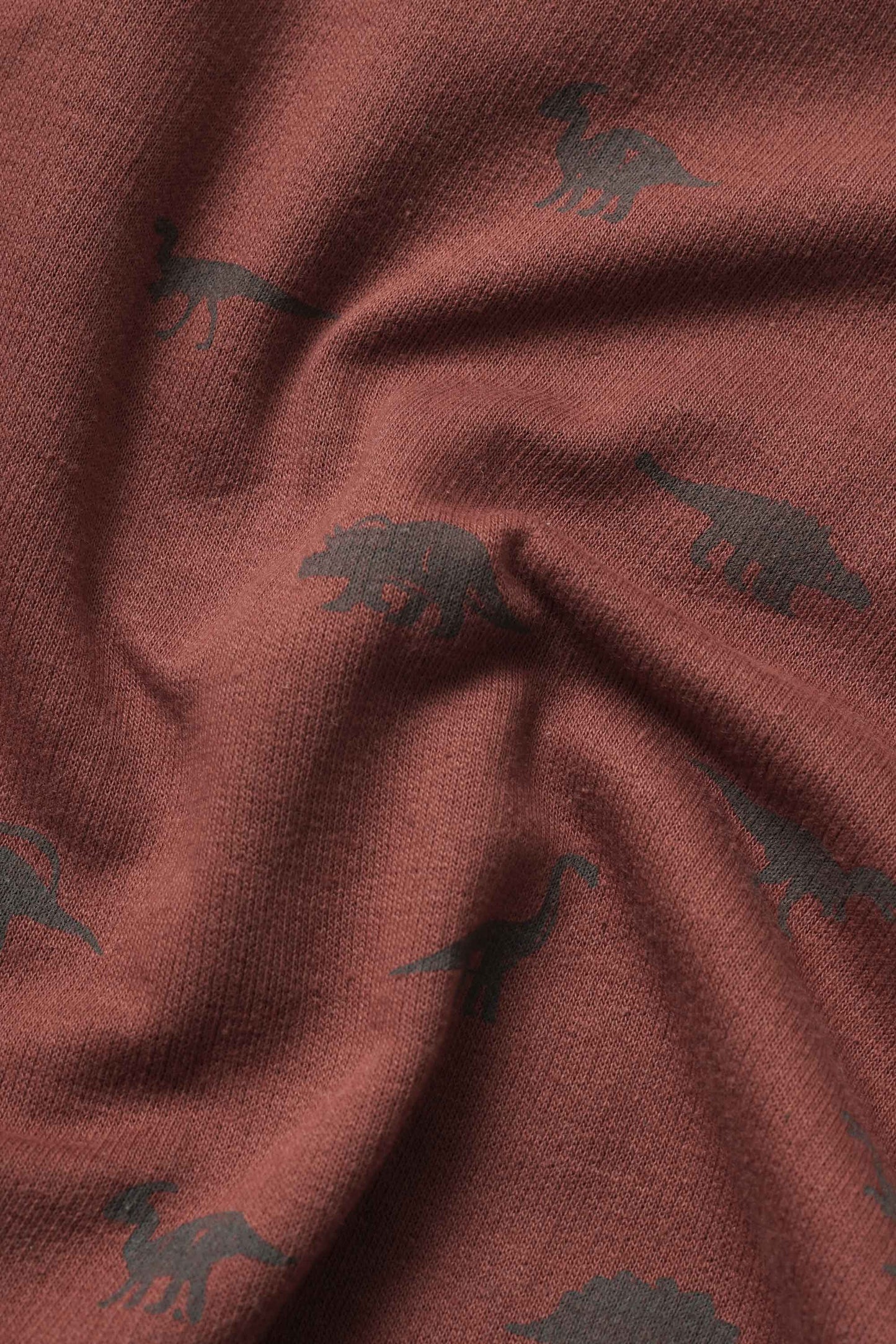 ZR Kid's Dino Printed Fleece Sweat Shirt Kid's Sweat Shirt Salman Rahim 