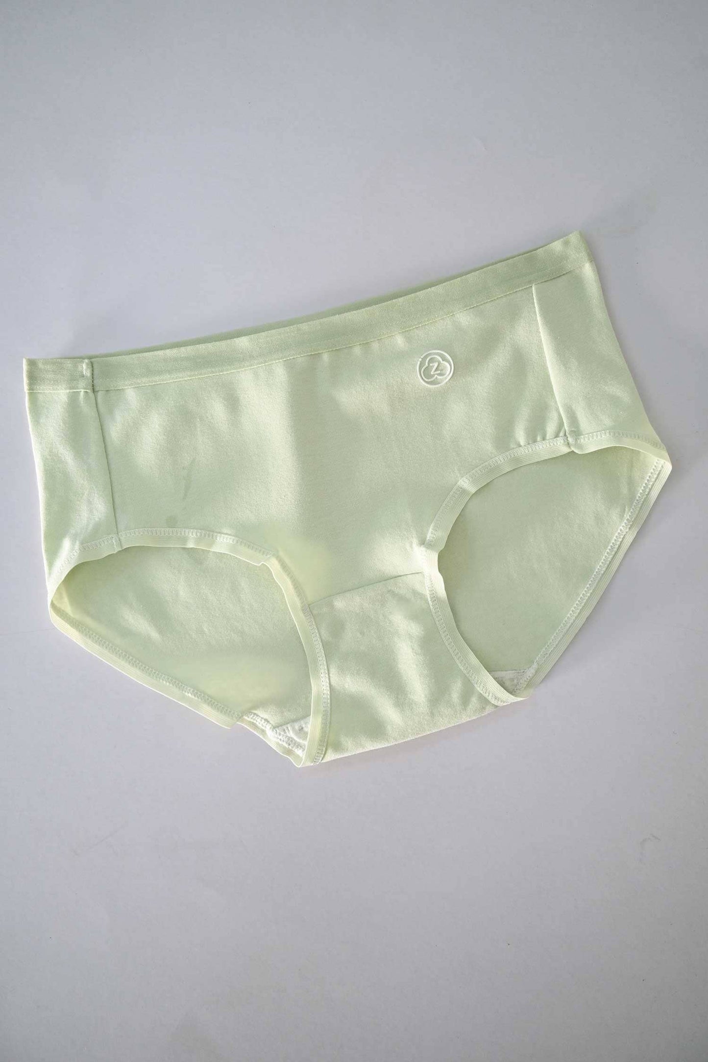 Rise Women's Leak Protection Underwear Pantie Women's Panties Cash Purchase Kamran Mushtaq Mint Green M 