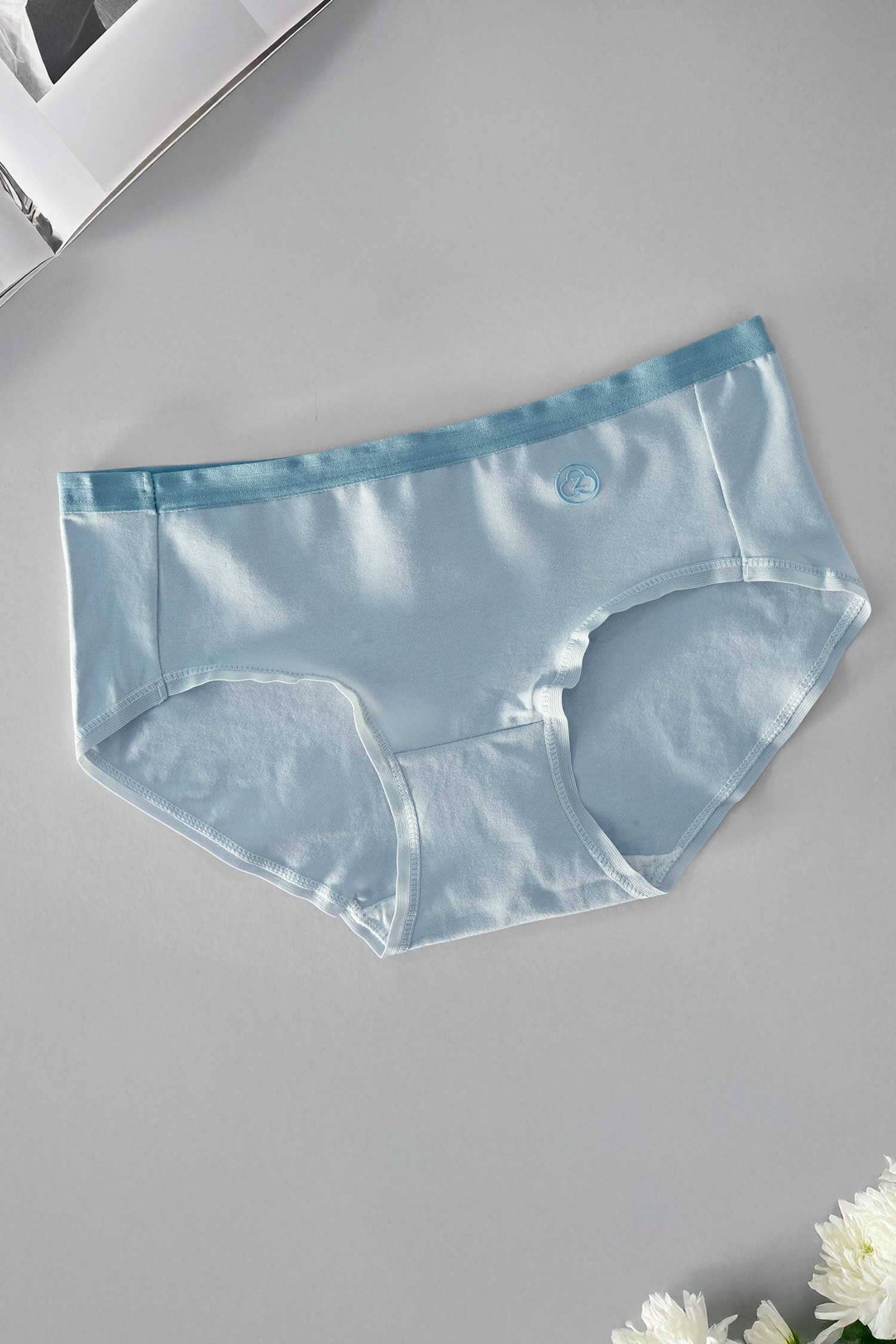 Rise Women's Leak Protection Underwear Pantie Women's Panties Cash Purchase Kamran Mushtaq Powder Blue M 