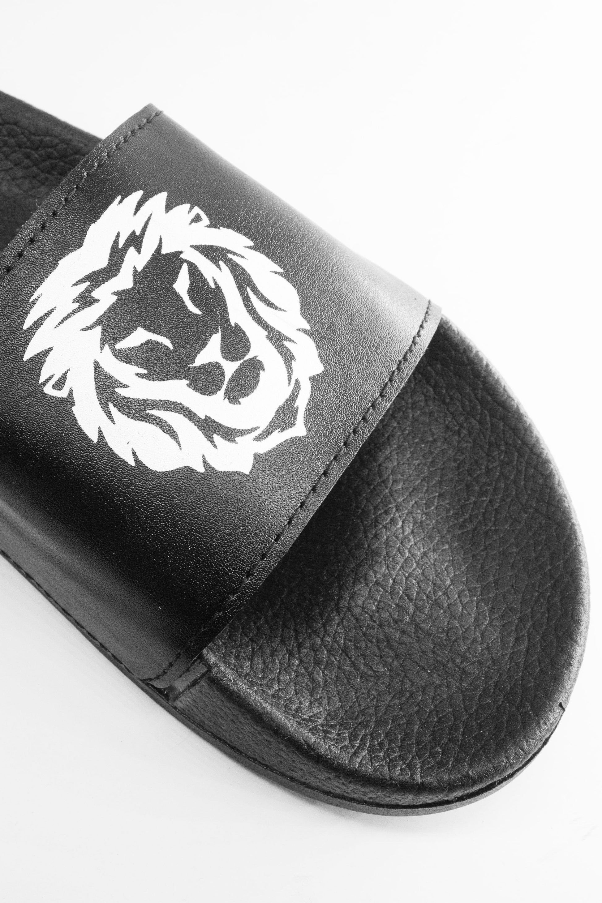 Black Camel Men's Lion Printed Slides Men's Shoes Hamza Traders 