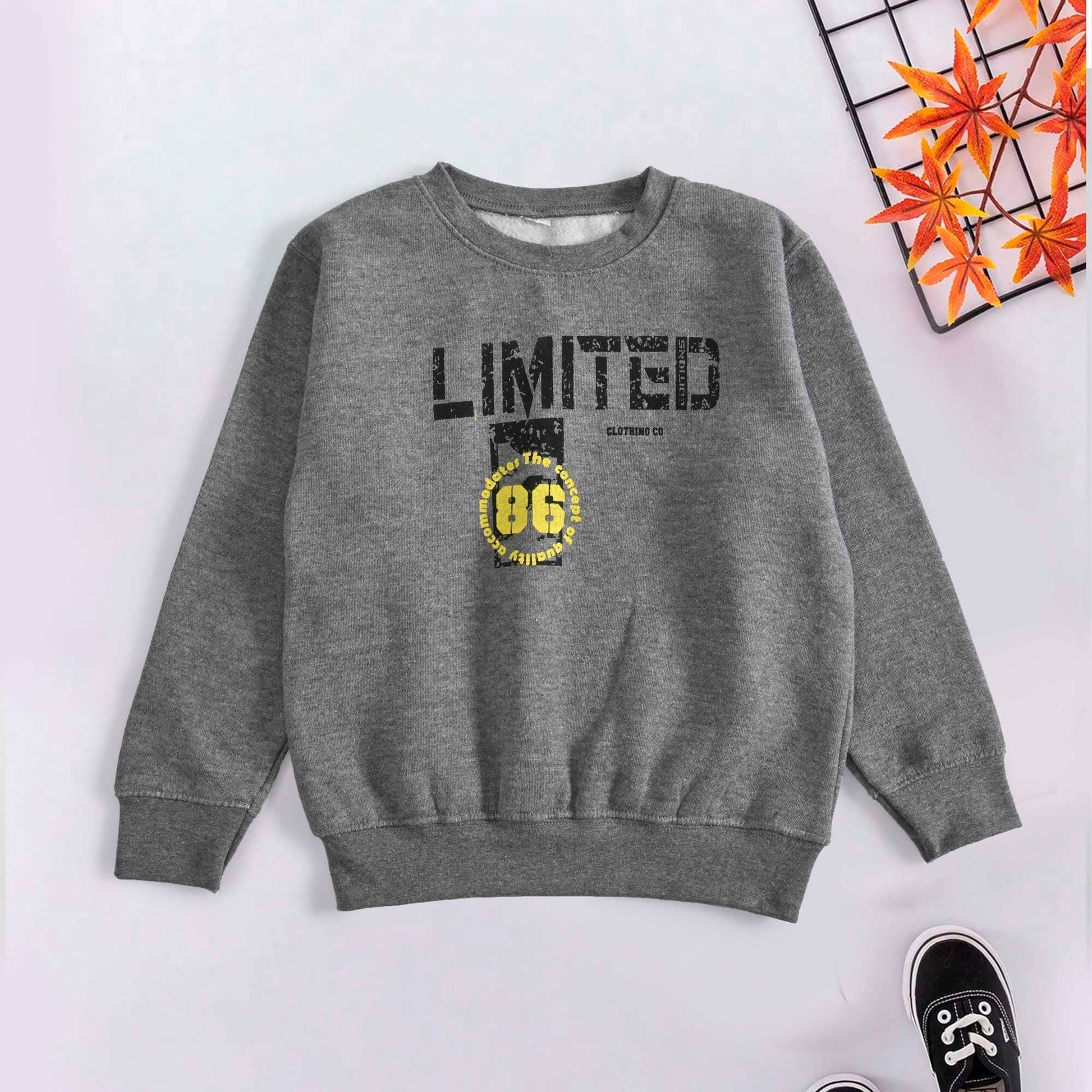 Rabbit Skins Boy's Limited Printed Fleece Sweat Shirt Boy's Sweat Shirt SNR Grey 2 Years 