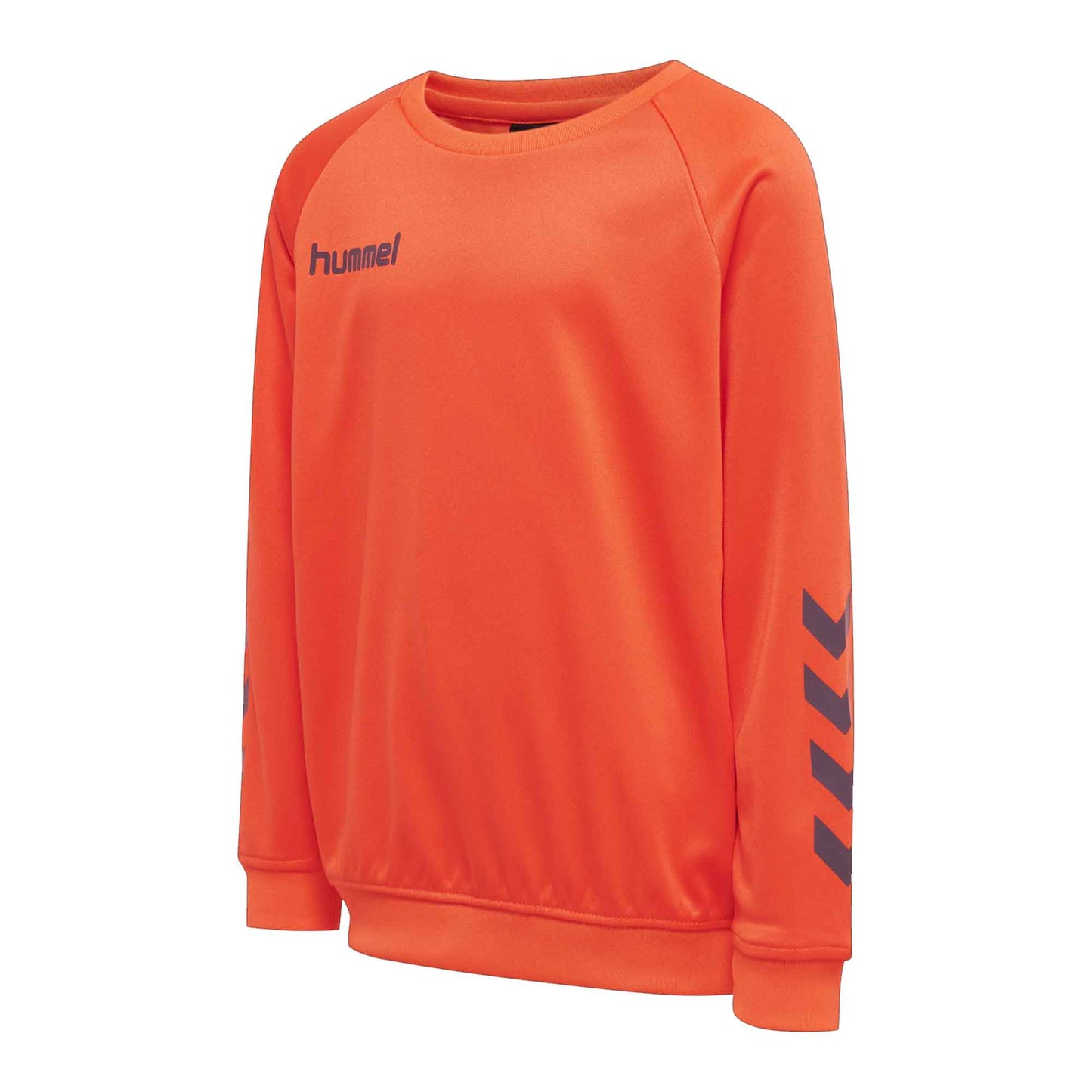 Hummel Boy's Activewear Raglan Sleeve Tee Shirt Boy's Tee Shirt HAS Apparel 