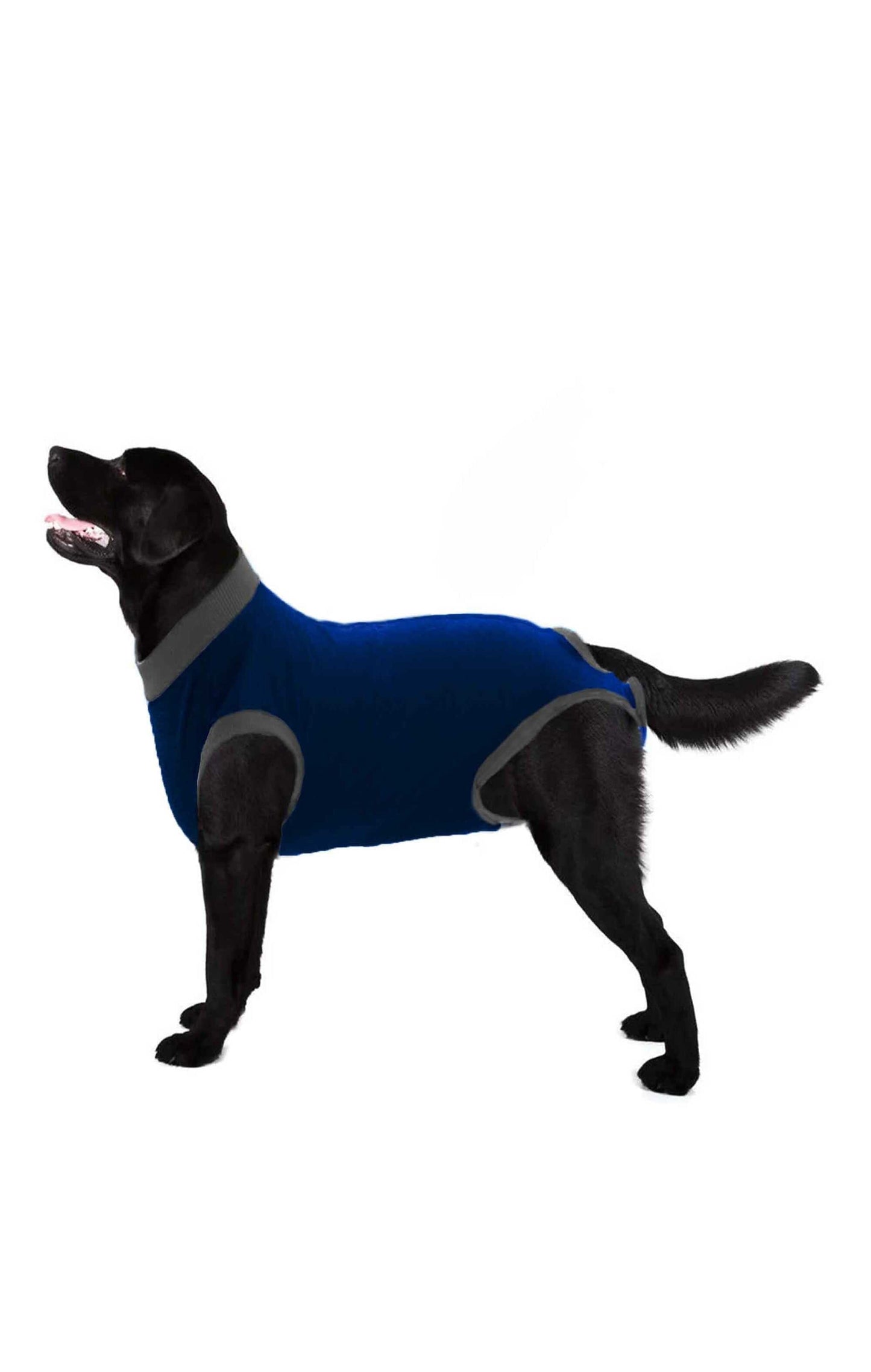 Pet Minor Fault Dog Shirt Minor Fault Image Blue 4XS 