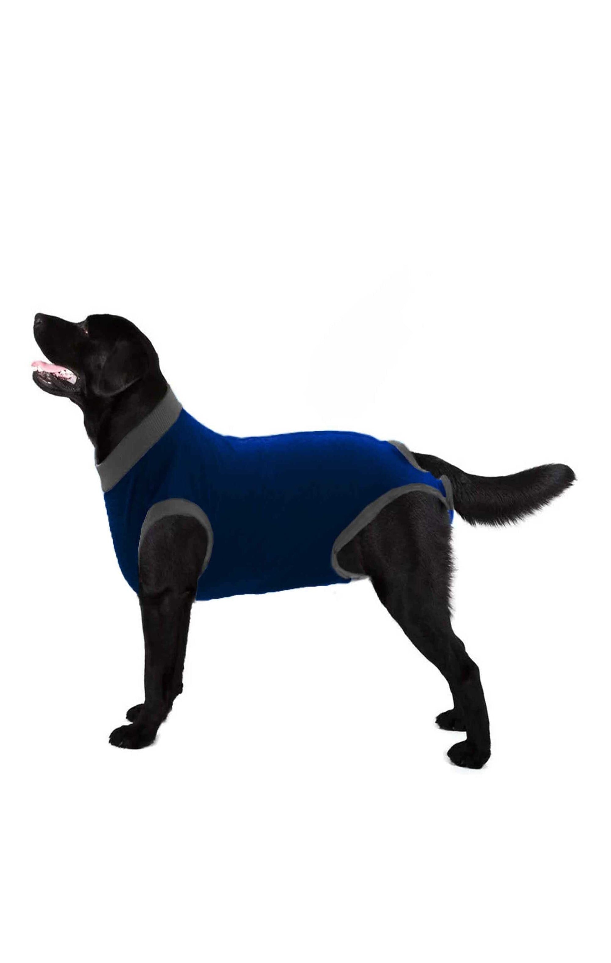 Pet Minor Fault Dog Shirt Minor Fault Image Blue 4XS 