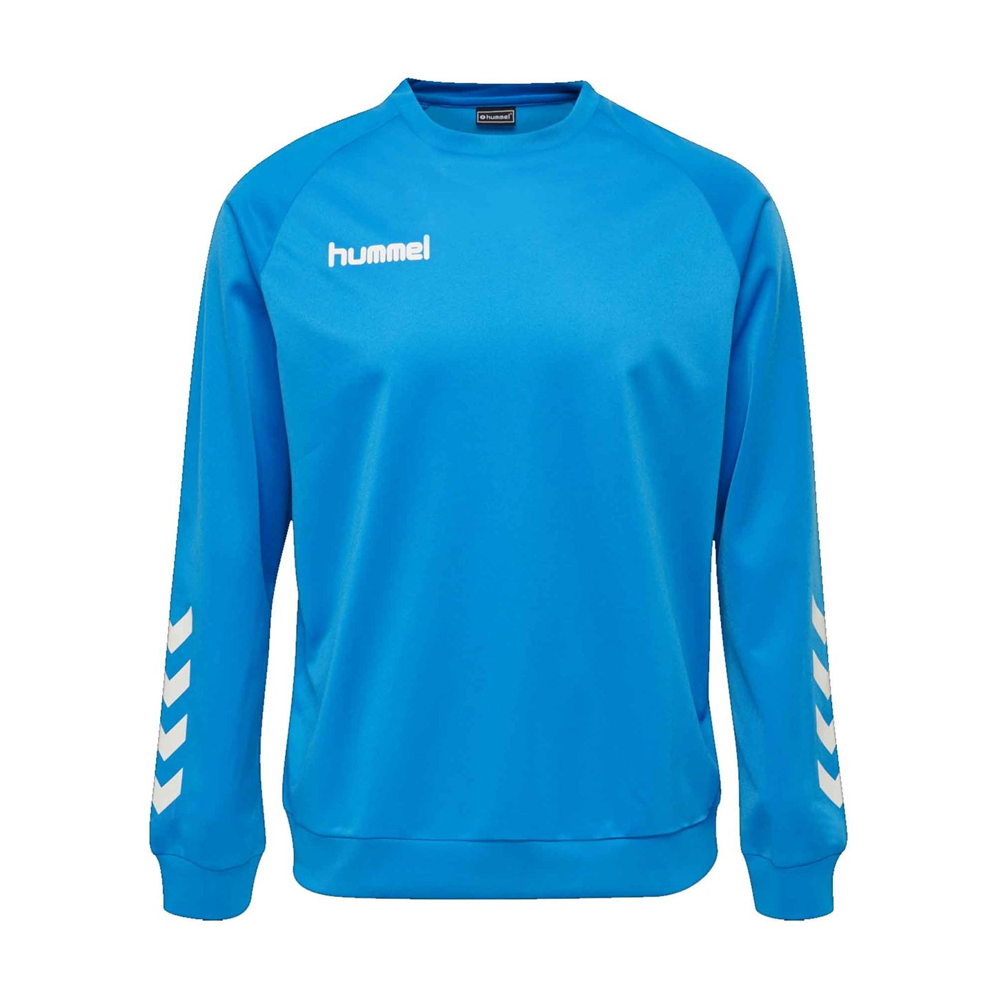 Hummel Boy's Activewear Raglan Sleeve Tee Shirt Boy's Tee Shirt HAS Apparel Blue 4 Years 