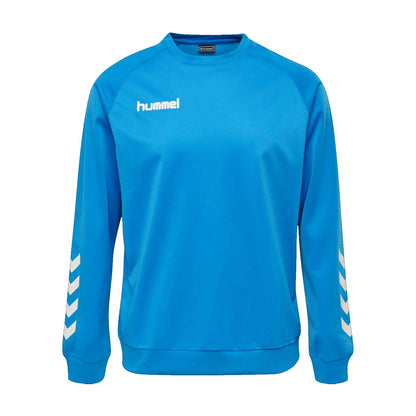 Hummel Boy's Activewear Raglan Sleeve Tee Shirt Boy's Tee Shirt HAS Apparel Blue 4 Years 