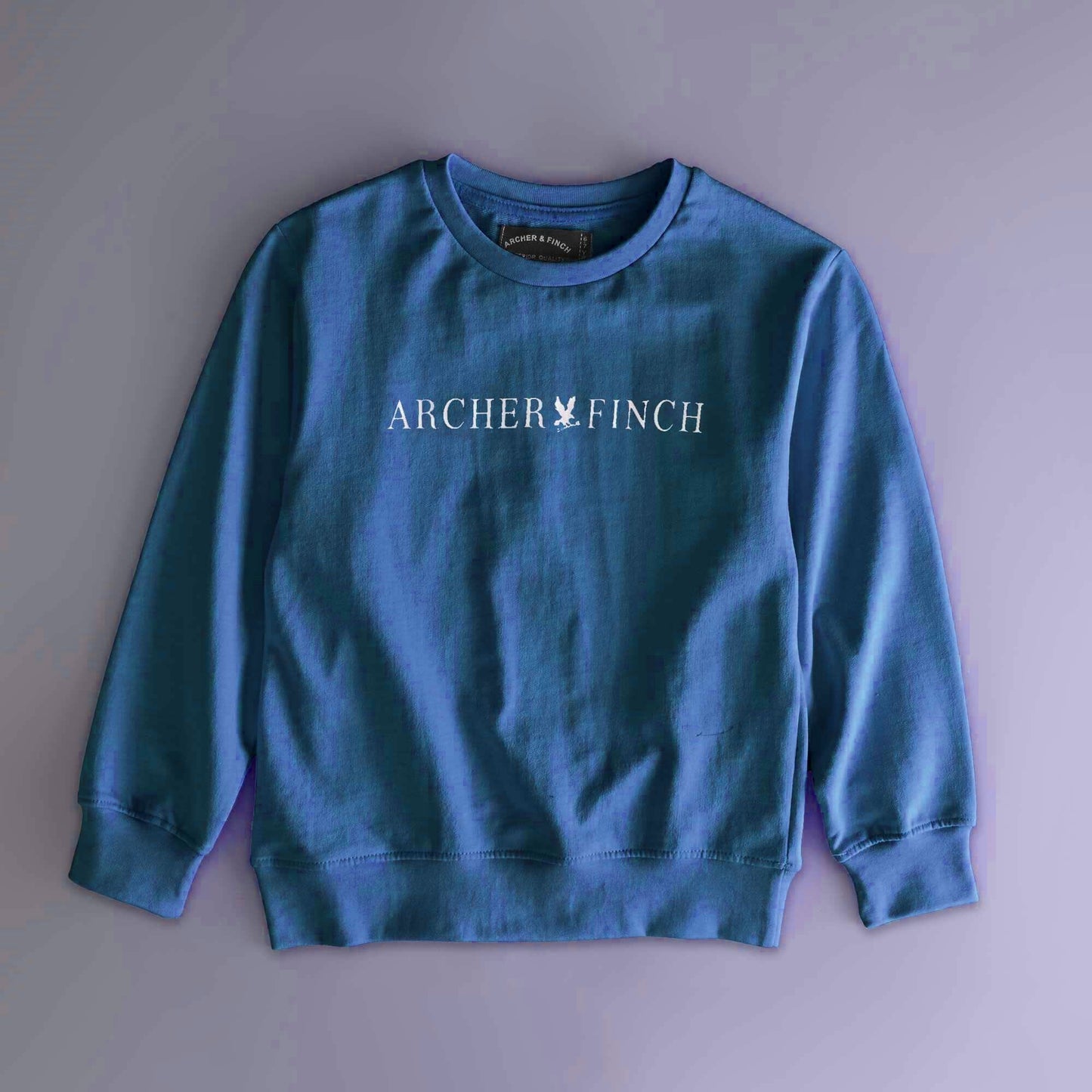 Archer & Finch Boy's Printed Terry Sweat Shirt Boy's Sweat Shirt Lyallpur Fashions (Sale Basis) Blue 3-4 Years 