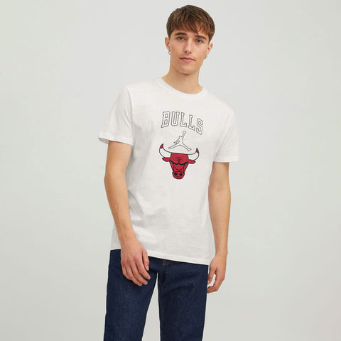 New era NBA Metallic Chicago Bulls Oversize Short Sleeve T-Shirt